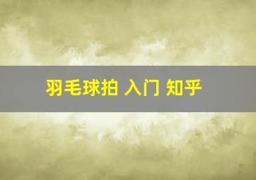 羽毛球拍 入门 知乎